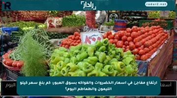ارتفاع مفاجئ في أسعار الخضروات والفواكه بسوق العبور: كم بلغ سعر كيلو الليمون والطماطم اليوم؟